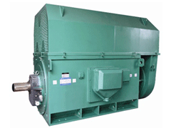 隆德Y系列6KV高压电机